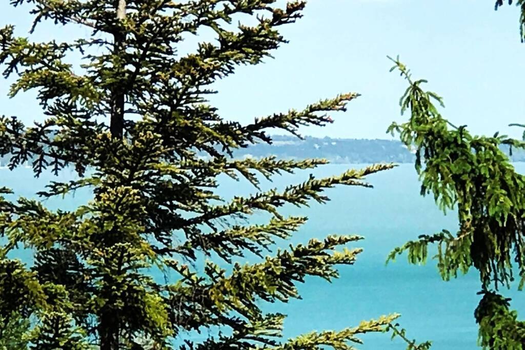 'New' Sunkissed Villa On The Old Hill Balatonalmadi Bagian luar foto