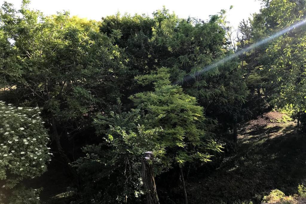 'New' Sunkissed Villa On The Old Hill Balatonalmadi Bagian luar foto
