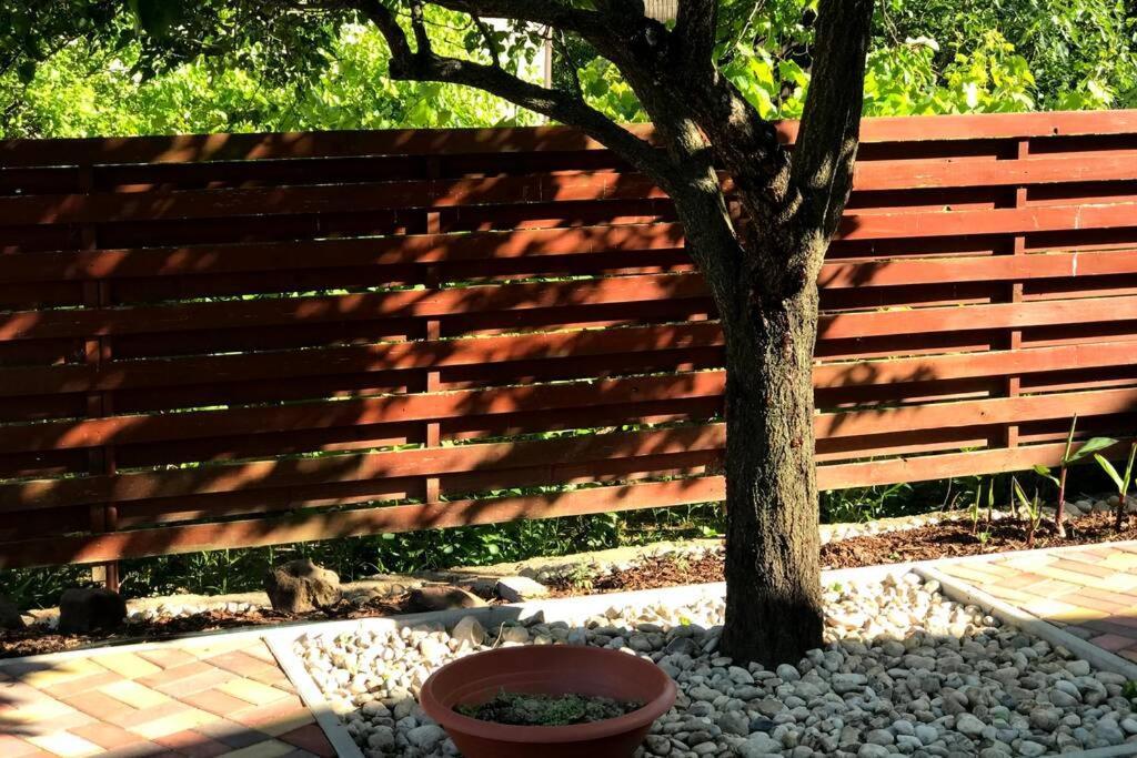 'New' Sunkissed Villa On The Old Hill Balatonalmadi Bagian luar foto