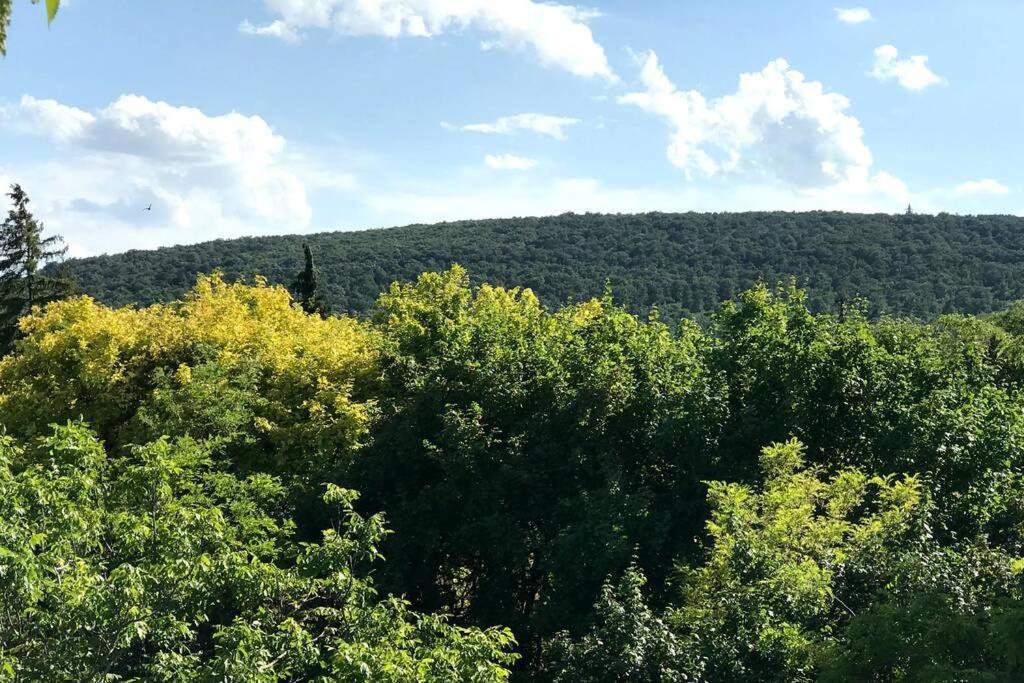 'New' Sunkissed Villa On The Old Hill Balatonalmadi Bagian luar foto