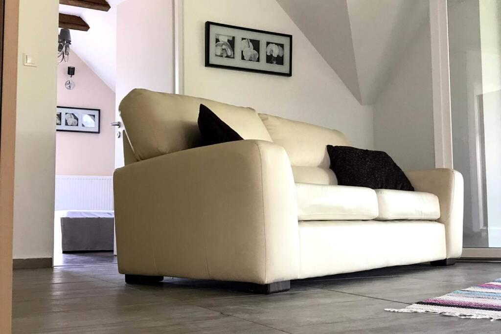 'New' Sunkissed Villa On The Old Hill Balatonalmadi Bagian luar foto